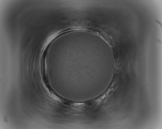 X0000097820055200803141150