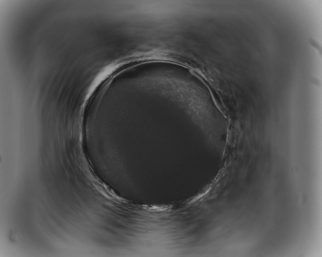 X0000097820056200803141150