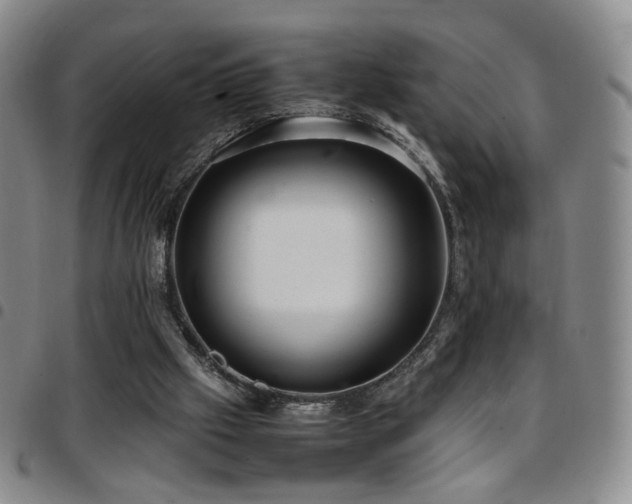 X0000097820057200803141150