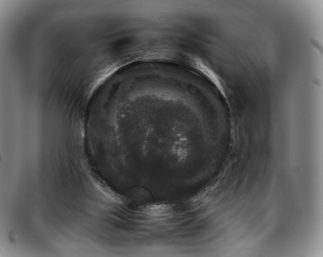 X0000097820059200803141150