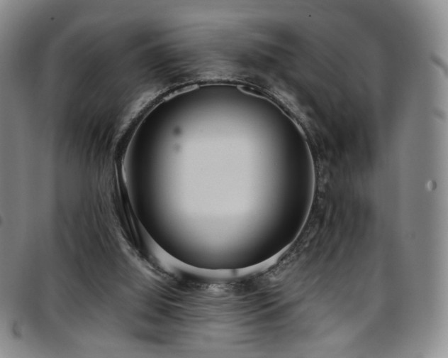 X0000097820060200803141150