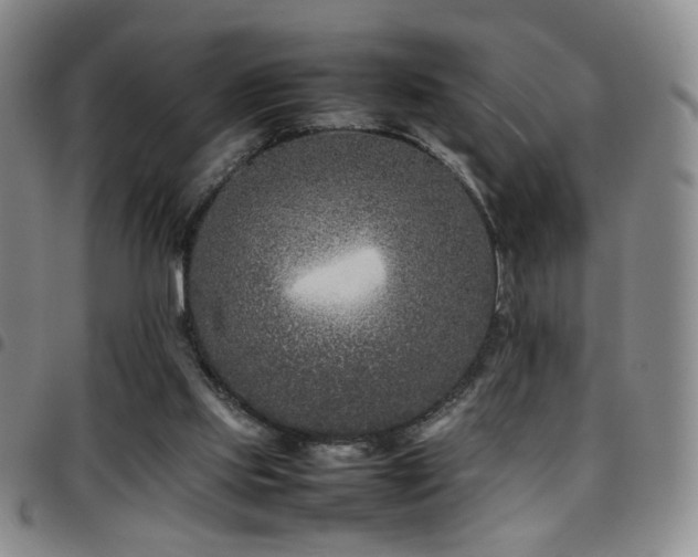 X0000097820061200803141150