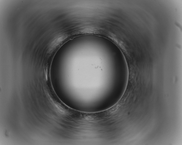 X0000097820062200803141150