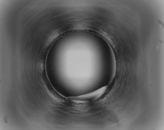 X0000097820063200803141150