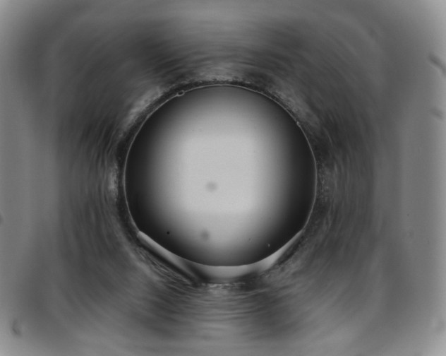 X0000097820064200803141150