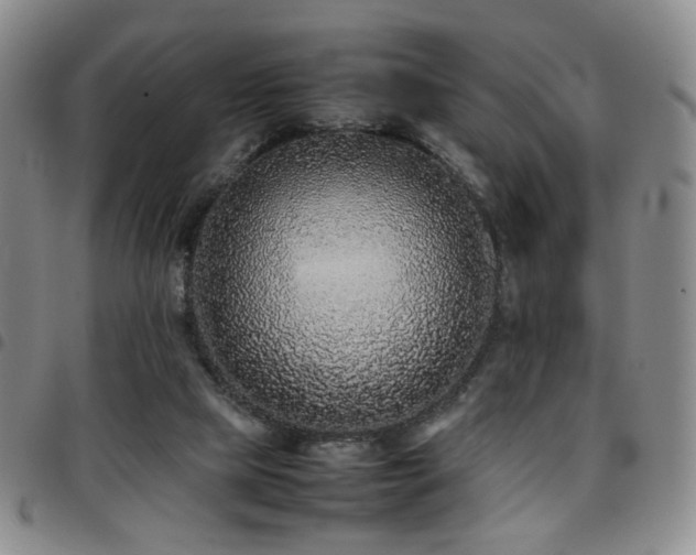 X0000097820065200803141150