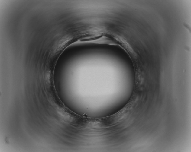 X0000097820066200803141150