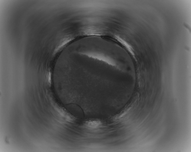 X0000097820067200803141150