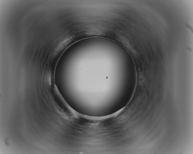 X0000097820068200803141150