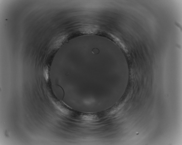 X0000097820069200803141150