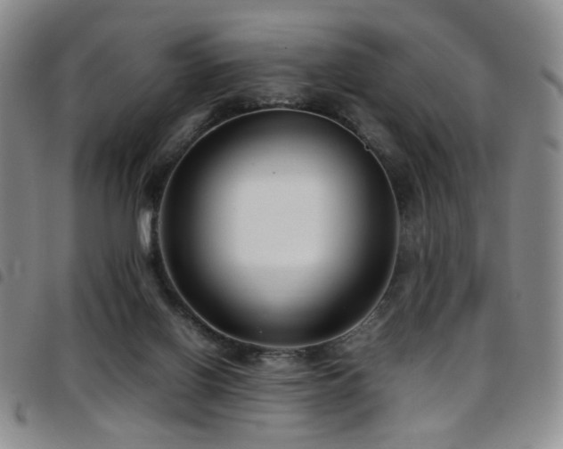 X0000097820070200803141150