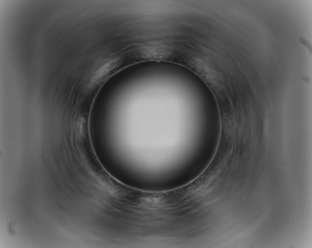 X0000097820071200803141150