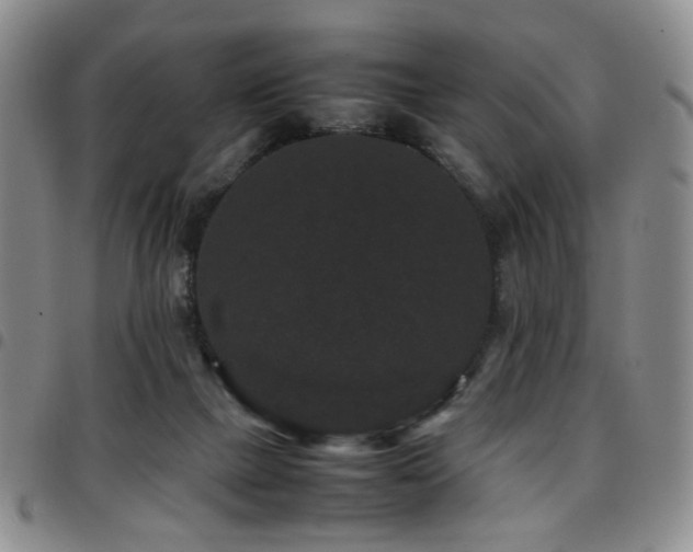 X0000097820073200803141150