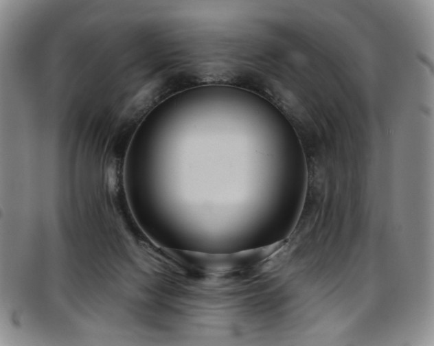 X0000097820074200803141150