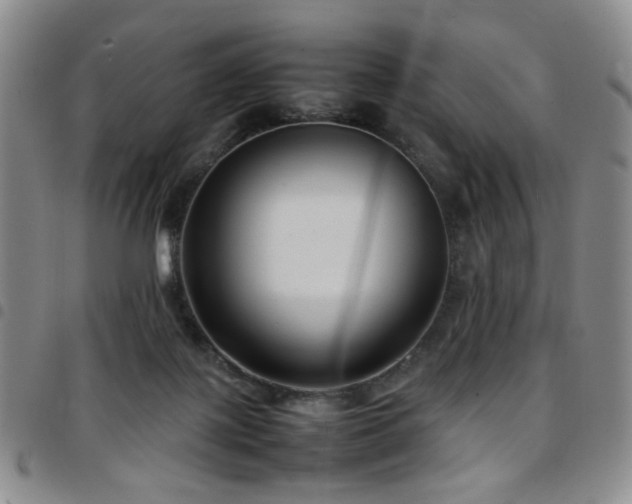 X0000097820075200803141150