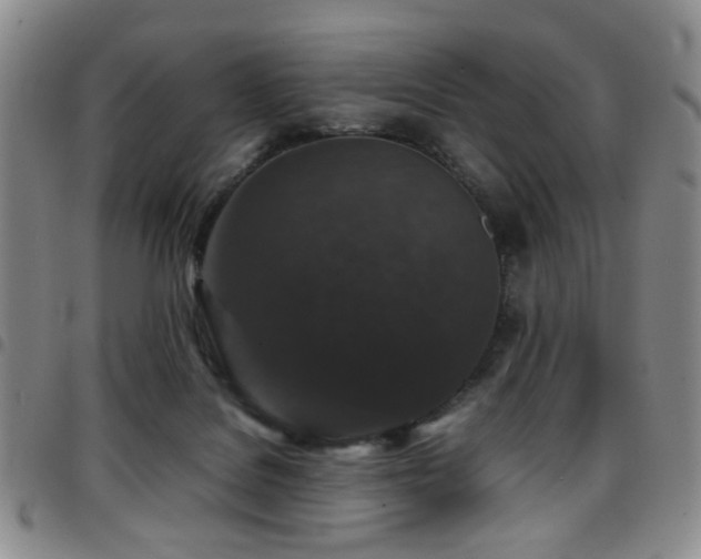 X0000097820076200803141150