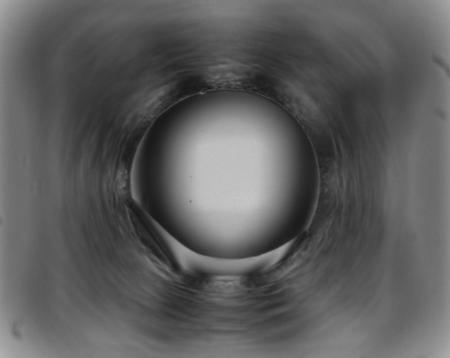 X0000097820081200803141150