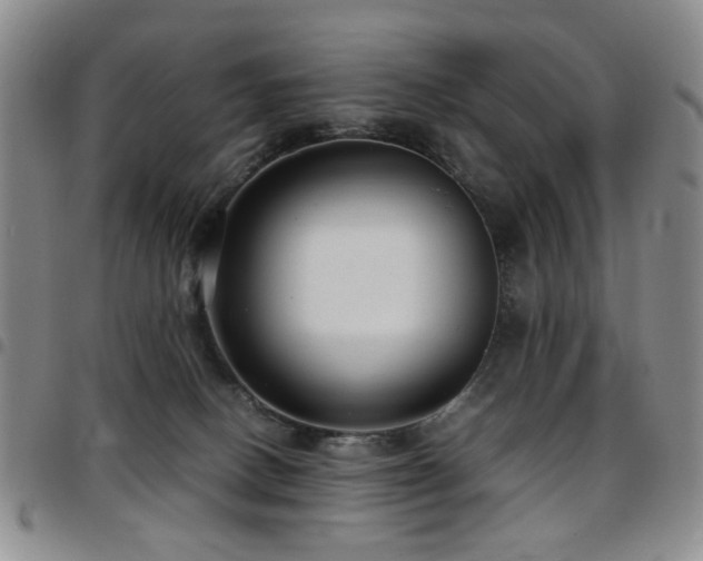 X0000097820082200803141150