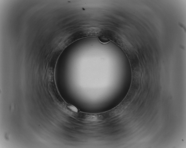 X0000097820083200803141150