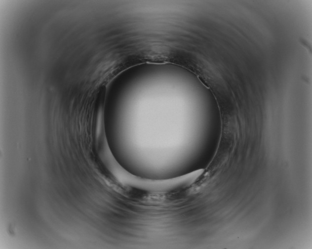 X0000097820084200803141150