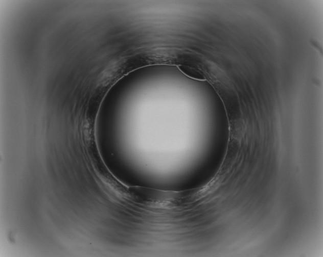 X0000097820086200803141150