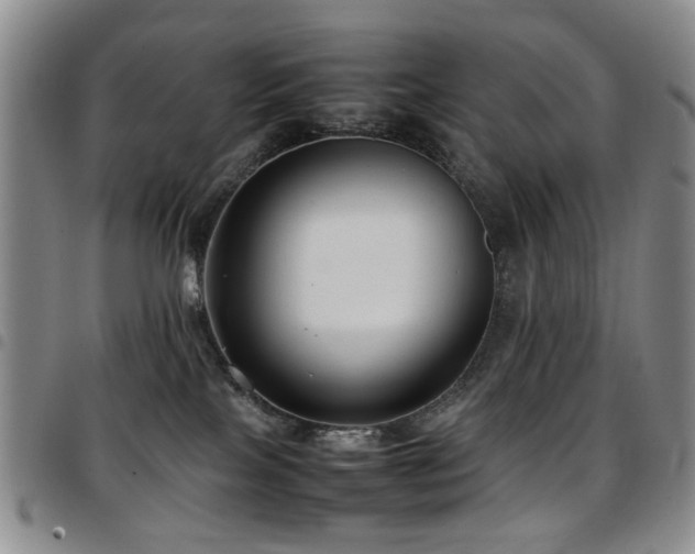 X0000097820089200803141150