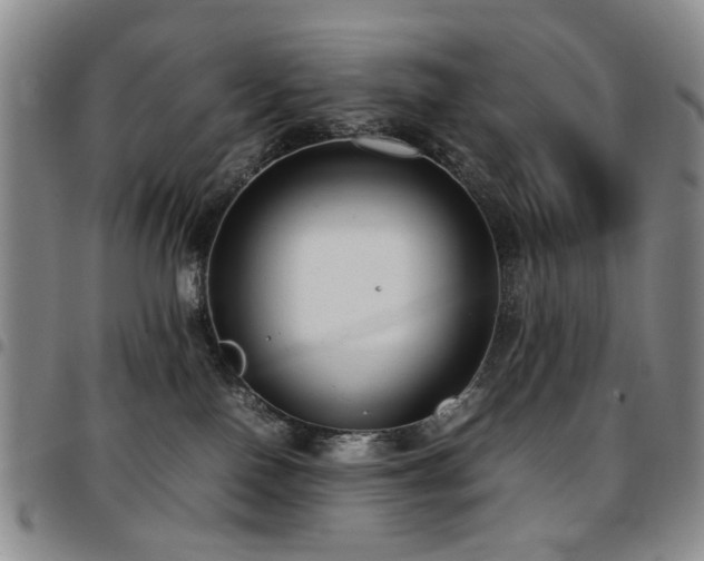 X0000097820090200803141150