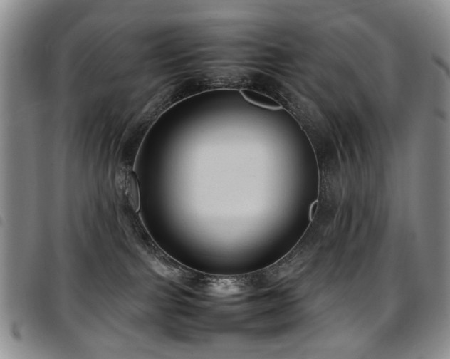 X0000097820091200803141150