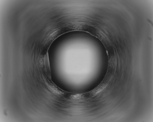 X0000097820092200803141150