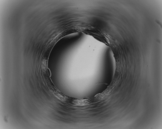 X0000097820093200803141150