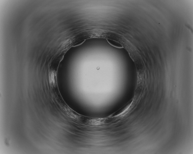 X0000097820094200803141150