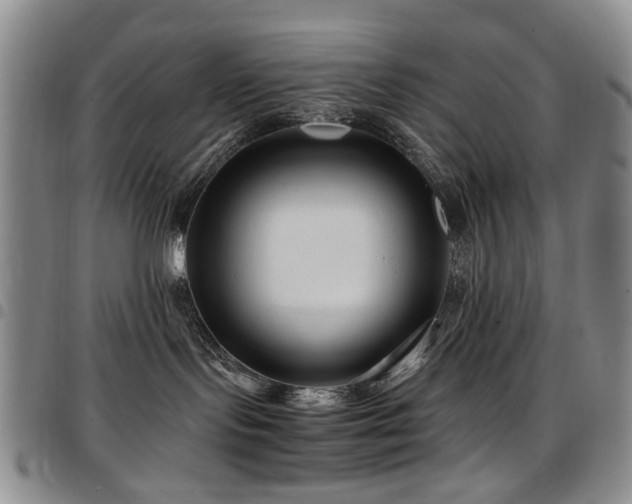 X0000097820095200803141150