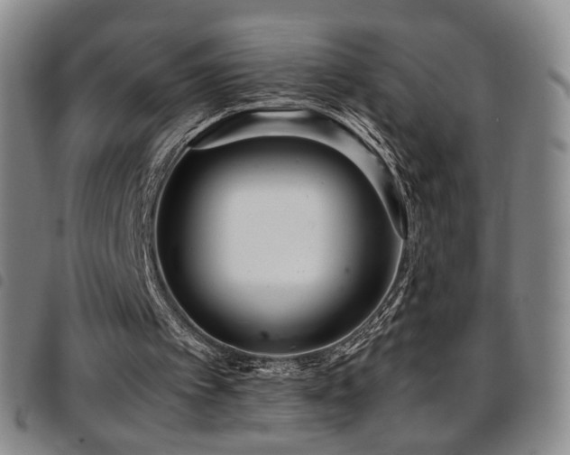 X0000097820097200803141150