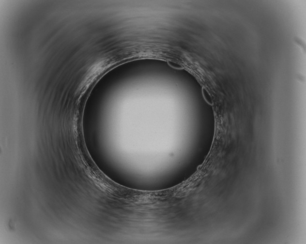 X0000097820098200803141150