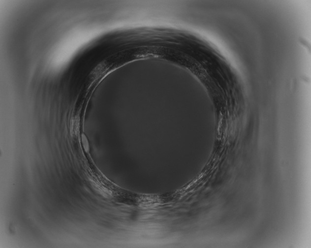 X0000097820099200803141150