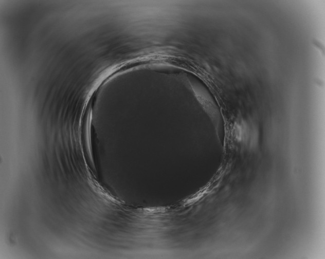 X0000097820100200803141150