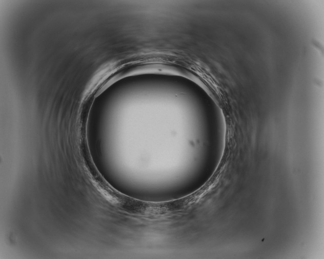 X0000097820101200803141150