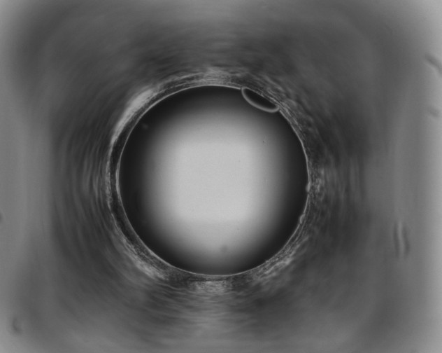 X0000097820102200803141150