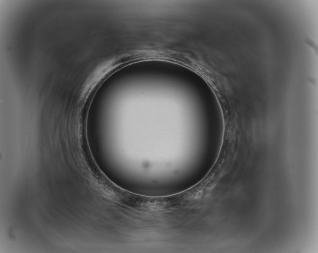 X0000097820103200803141150