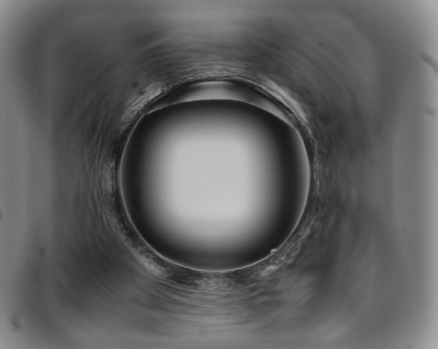 X0000097820105200803141150