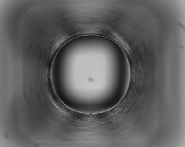 X0000097820107200803141150