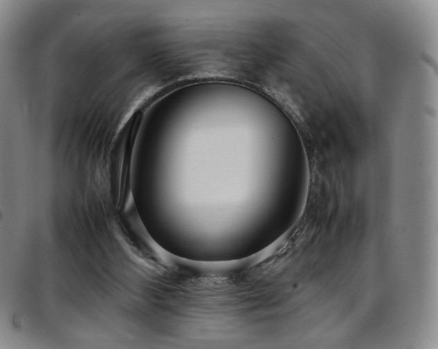 X0000097820108200803141150