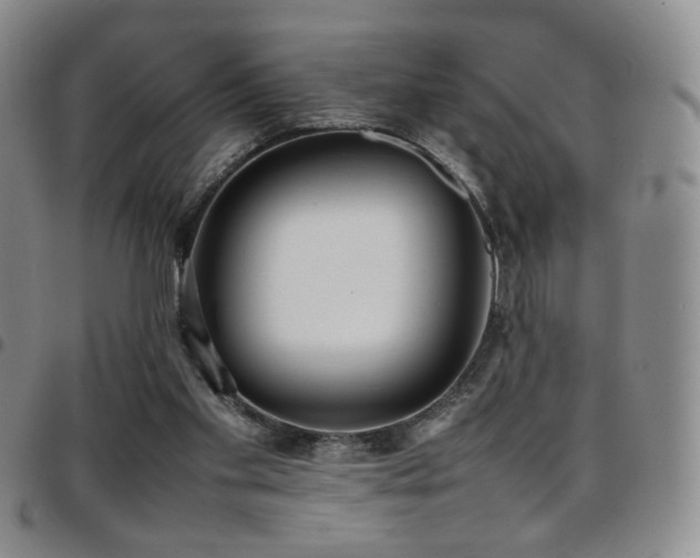 X0000097820109200803141150