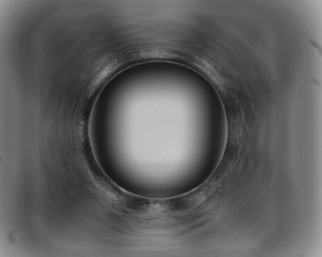 X0000097820111200803141149