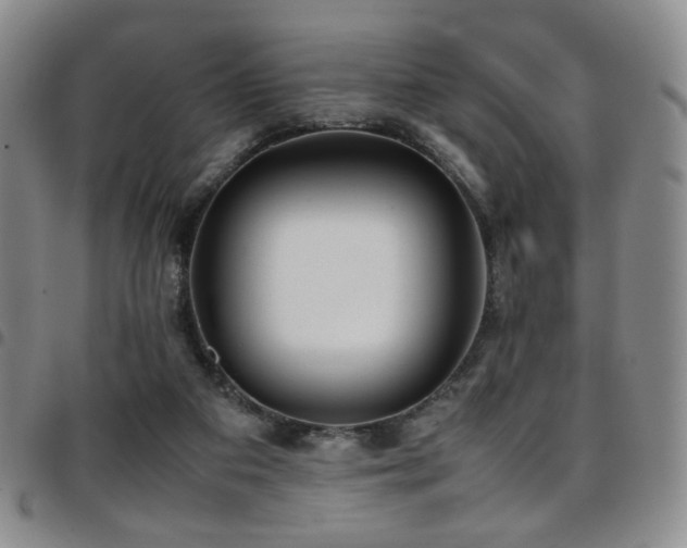 X0000097820113200803141149