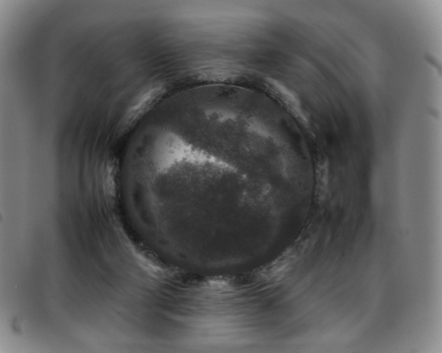 X0000097820114200803141149