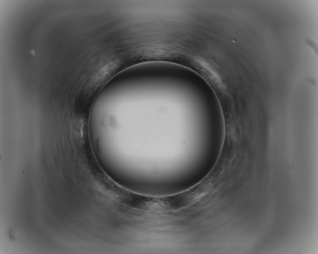 X0000097820115200803141149