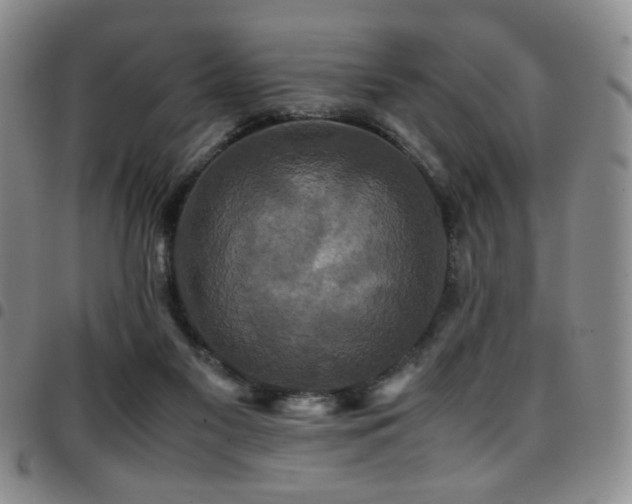 X0000097820117200803141149