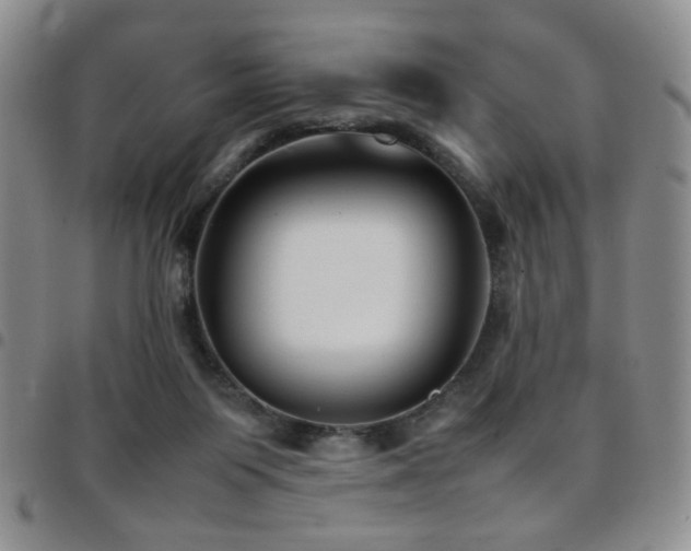 X0000097820119200803141149