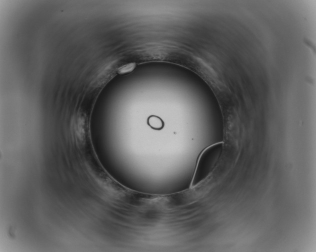 X0000097820122200803141149